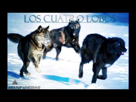 Mafia Tramontana - Los cuatro lobos