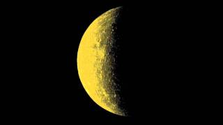 Animal Trainer - Krambambuli (Björn Störig Remix)