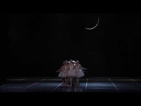 Russian State Ballet - Swan Lake