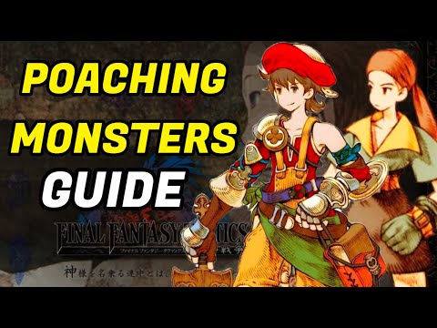 Final Fantasy Tactics Poaching Guide