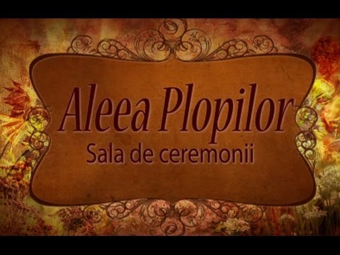 Sala de Ceremonii "Aleea Plopilor".Straseni.