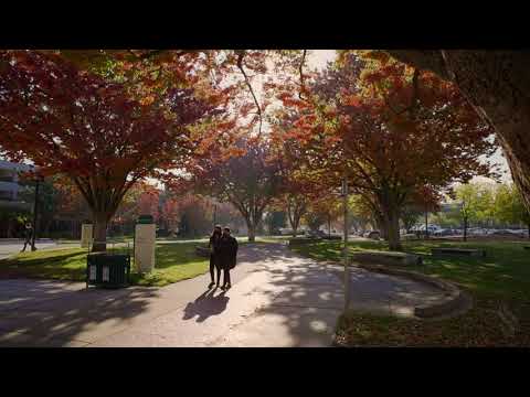 Sac State Fall 2022 Calendar Sacramento State University Calendar​: Detailed Login Instructions|  Loginnote