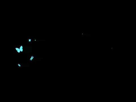 Butterfly overlay video 3d butterfly overlay for kinemaster alight motion