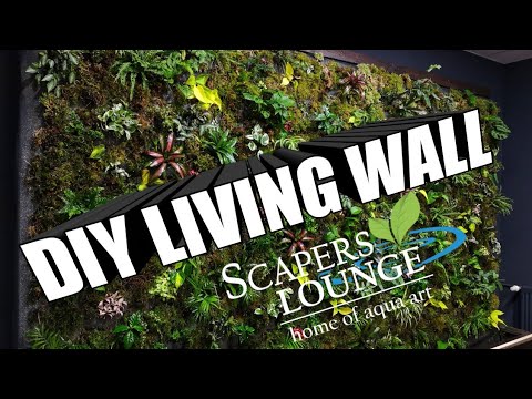 This is how we built the LIVING WALL in the SCAPERS LOUNGE