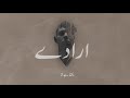 Danish Roomi Iraaday Ft JANI Prod By Superdupersultan Official Audio