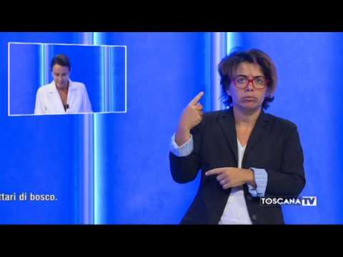 2017-08-05 TG PER SORDI