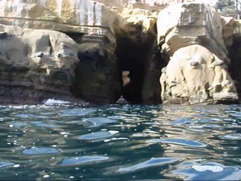 Snorkeling at The Caves at La Jolla Cove