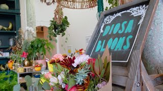 Diosa Blooms Flower Shop: BAYCAT Fall 2020 Crew