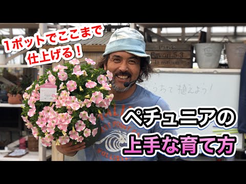 アブルッツォ バンディエラ.svg