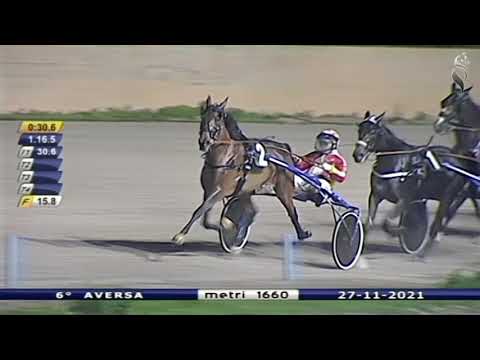 Aversa trotto 27 Novembre 2021 - 6° Corsa