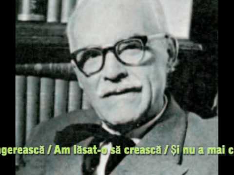 Tudor Arghezi - Flori de mucigai.mpg