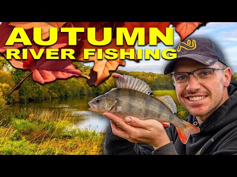 River Fishing In Autumn! | AMAZING FISHING