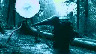 The Walkabouts - The Light Will Stay On