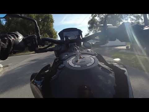 2021 HONDA CB1000R BLACK EDITION WHEELIE.