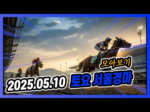 2025년 5월 10일 ,토요 서울경마 전체경주 모아보기