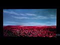 The Wizard Of Oz 1939 Poppies Scene