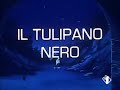 Il Tulipano Nero La Stella Della Senna Sigla Di Cristina D Avena Con Il Testo 1984