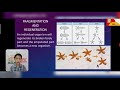 Ways Of Animal Reproduction Earth And Life Science Grade 11 Discussion Video