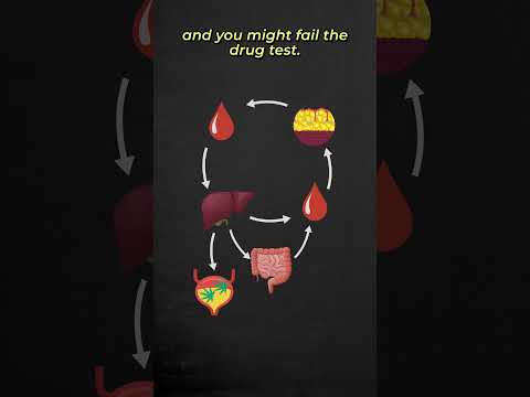 Certo Detox Drawback: What Nobody Tells You