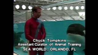 Katerina and Taima's Birth