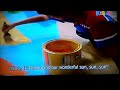 Barney The Rainbow Song Colors Season 10