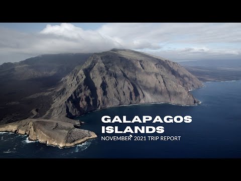 Diving the GALAPAGOS in 2021 (4K)