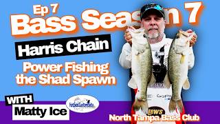 Harris Chain Bass Tournament Power Fishing the Shad Spawn