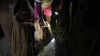 Download lagu ๐ณ๐ณ #fishing#rivercrab#instagram #fish#happiness#vlogs#vlogvideo#viral#viralvideo#shots#entertainment mp3 Download lagu ๐ณ๐ณ #fishing#rivercrab#instagram #fish#happiness#vlogs#vlogvideo#viral#viralvideo#shots#entertainment mp3