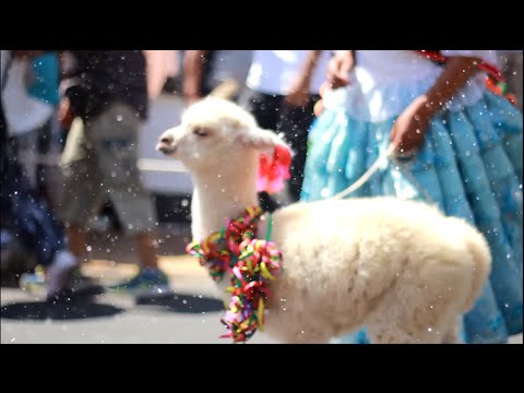 Bacondo & Manky - Samba La Mamba [ft mc order] (Video Oficial)