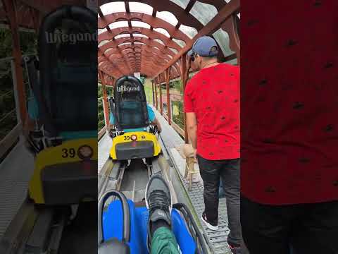 Bob Toplita #romania