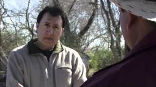 GENTE VIOLENTA 3 trailer