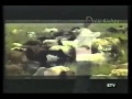 Tsegaye Dendena Saawwan Oromo Music