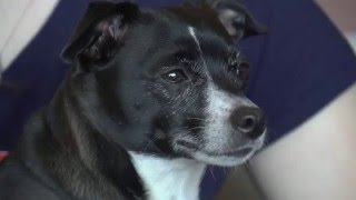 Samantha Moore and Liesha