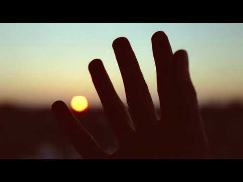 vesky - We Are Just Stars