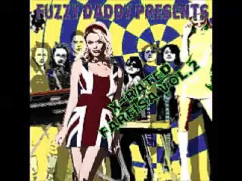 VA - Fuzzy Daddy Presents : X-Rated Farfisa Vol 2 : 60's Garage Rock Punk Folk Music Collection
