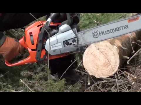 Metsolan Metsäkoulu 49, kasauksen helpotusta.