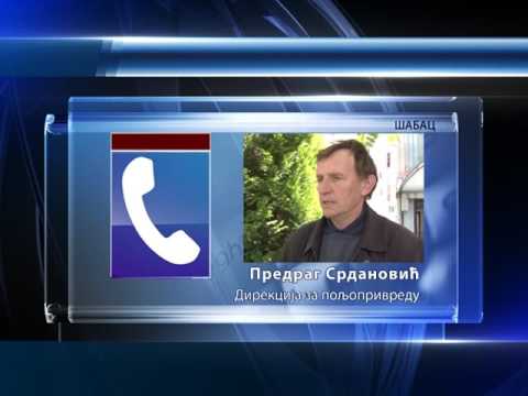 Predrag Srdanović o posledicama nevremena