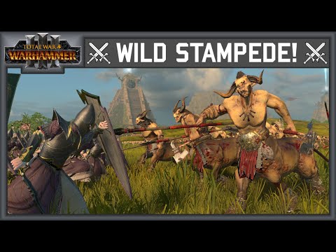 Charge of the Centigors - Tournament Spotlight: The Lady's Quest 2