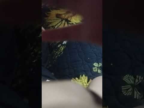 17 de diciembre de 2025