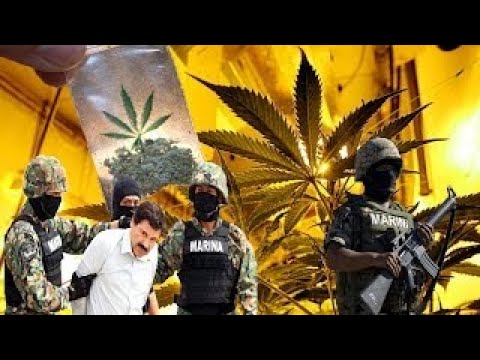 Das Ende der Drogenkartelle Der Kampf der Polizei gegen Drogen [Doku 2017] (HD)