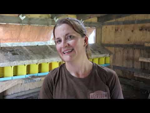 , title : 'How to Increase Egg Production from Chickens | 3 Tips For MORE EGGS from Laying Hens'