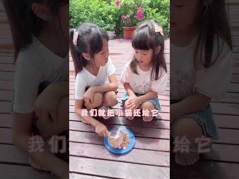 捡的小猫走了，妹妹哭的好伤心呀…#流浪猫 #姐妹日常