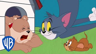 Tom & Jerry  Getting Rid of the Bad Tooth  WB 