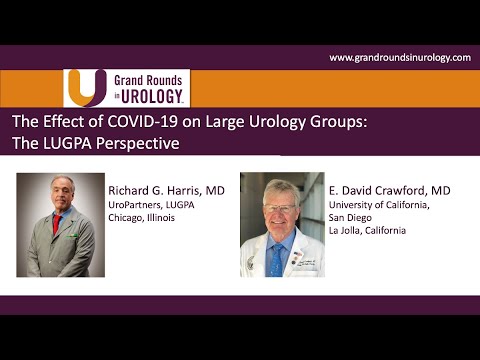 The Effect of COVID-19 on Large Urology Groups: The LUGPA Perspective