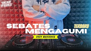 Download lagu DJ Sebatas Mengagumi - Oddy Mahendra Terbaru 2025 mp3