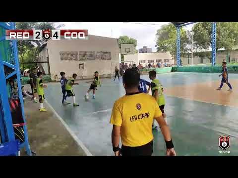 Campeonato Estadual LFA 2022