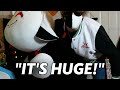 Ranboo Gets A Giant Youtooz