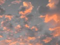 Dora My Heart Will Go On 0001 Wmv