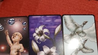 BATE PAPO E SORTEIOOO