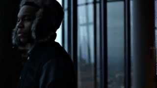 Young Swift - Field Lights